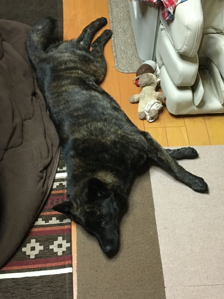 f:id:drunkard_kim:20180314075413j:plain