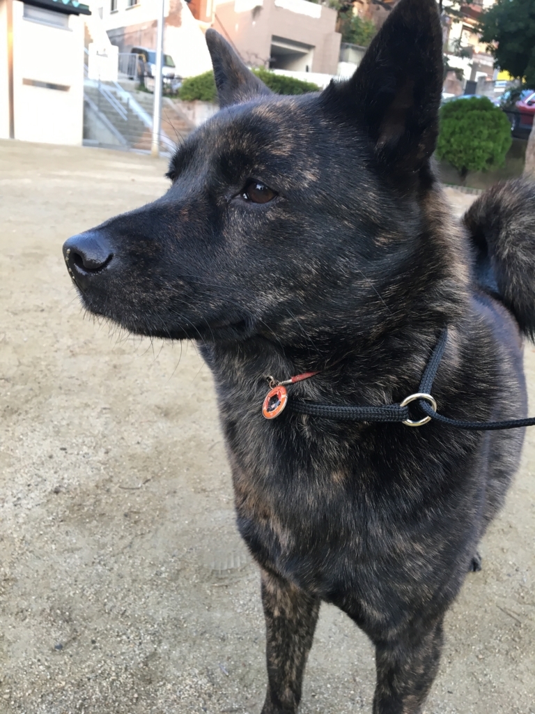 f:id:drunkard_kim:20180316081226j:plain