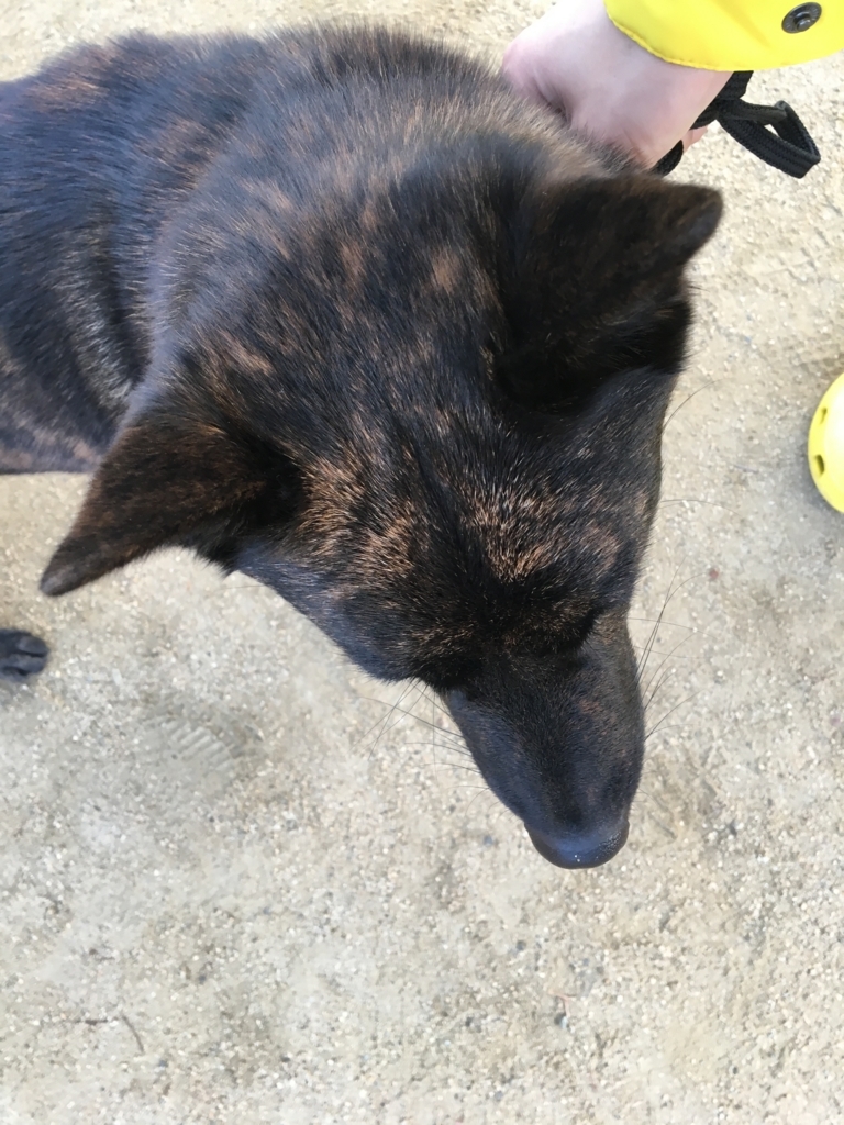 f:id:drunkard_kim:20180316081253j:plain