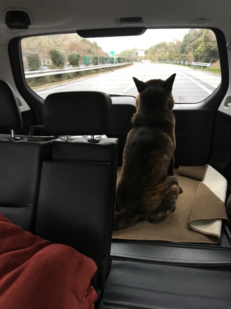 f:id:drunkard_kim:20180321081002j:plain