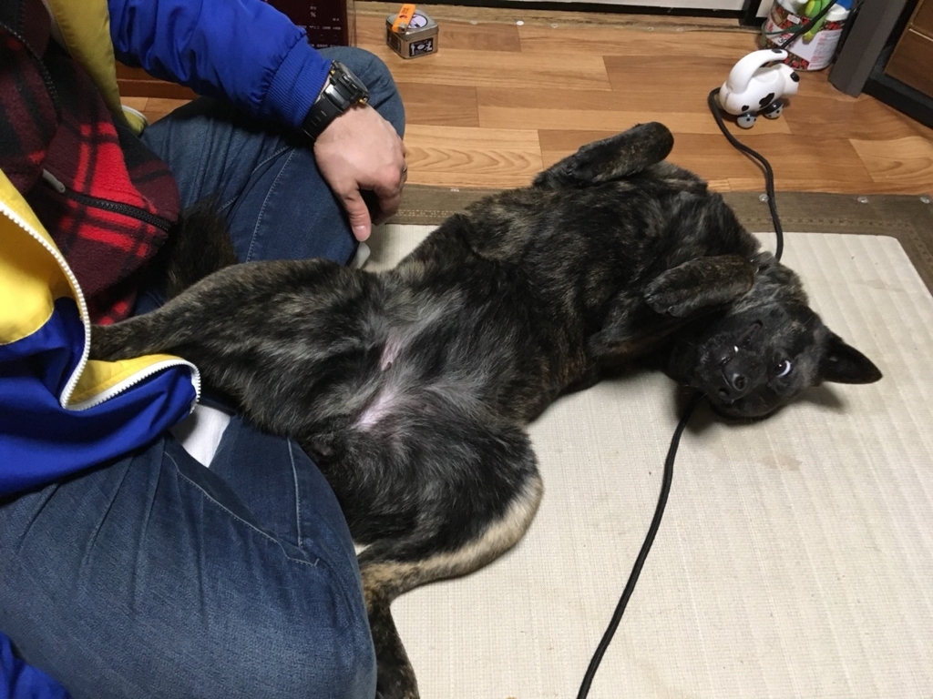 f:id:drunkard_kim:20180328075443j:plain
