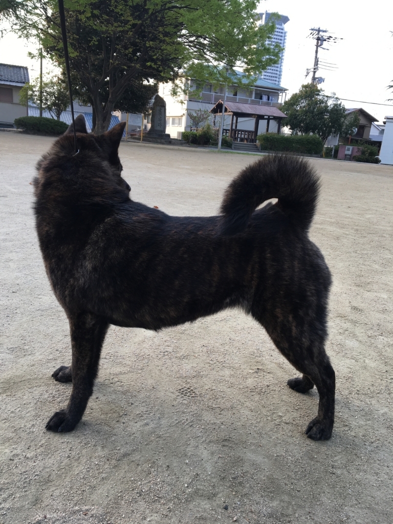 f:id:drunkard_kim:20180402080225j:plain