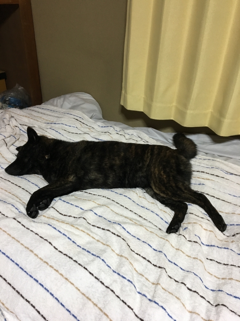 f:id:drunkard_kim:20180404081018j:plain