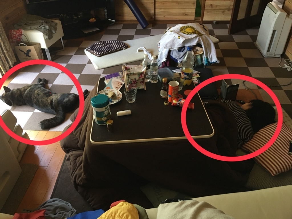 f:id:drunkard_kim:20180404083522j:plain