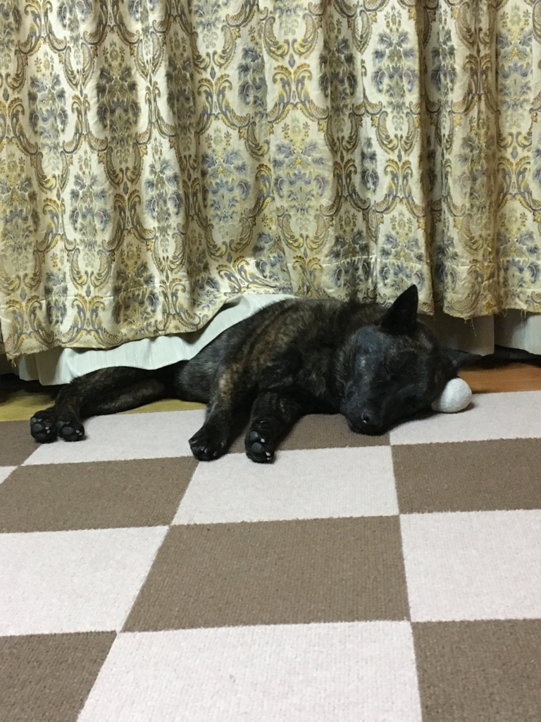 f:id:drunkard_kim:20180405075010j:plain