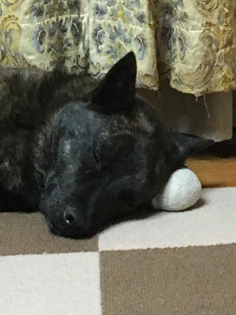 f:id:drunkard_kim:20180405075352j:plain