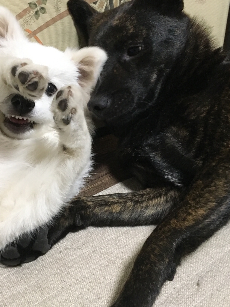 f:id:drunkard_kim:20180406080621j:plain