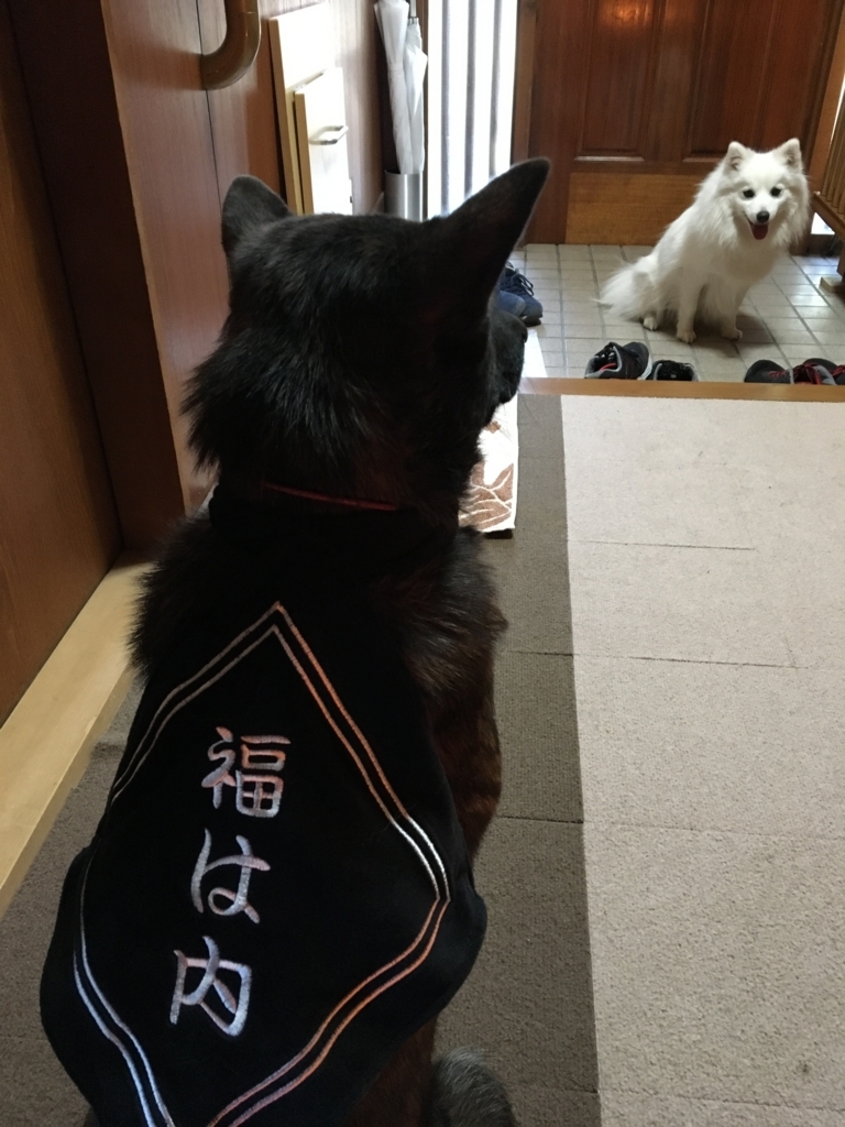 f:id:drunkard_kim:20180406081003j:plain
