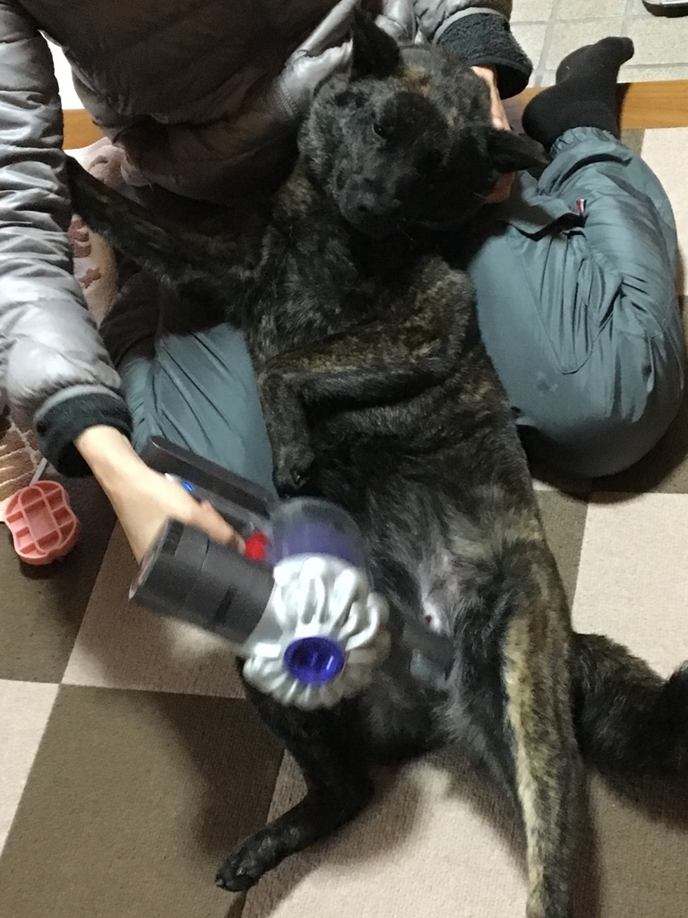 f:id:drunkard_kim:20180407080221j:plain