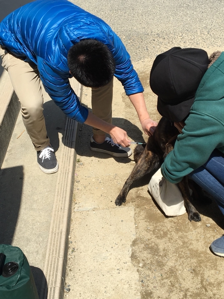 f:id:drunkard_kim:20180408135256j:plain