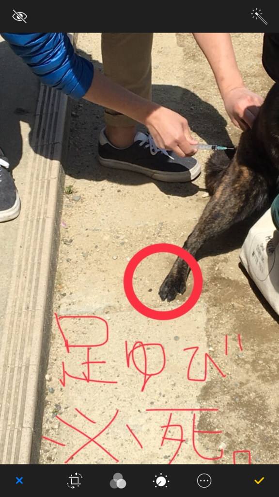 f:id:drunkard_kim:20180408135728p:plain