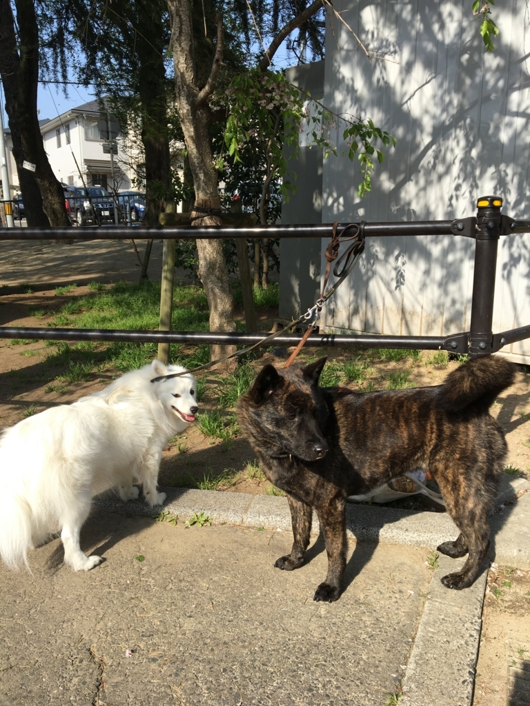 f:id:drunkard_kim:20180410090641j:plain