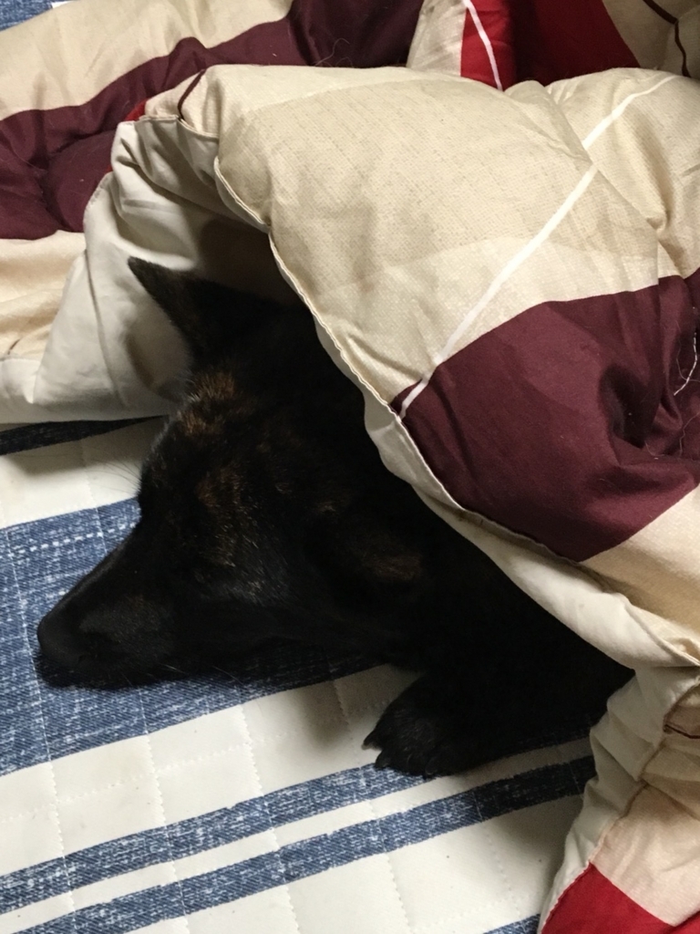 f:id:drunkard_kim:20180419080207j:plain