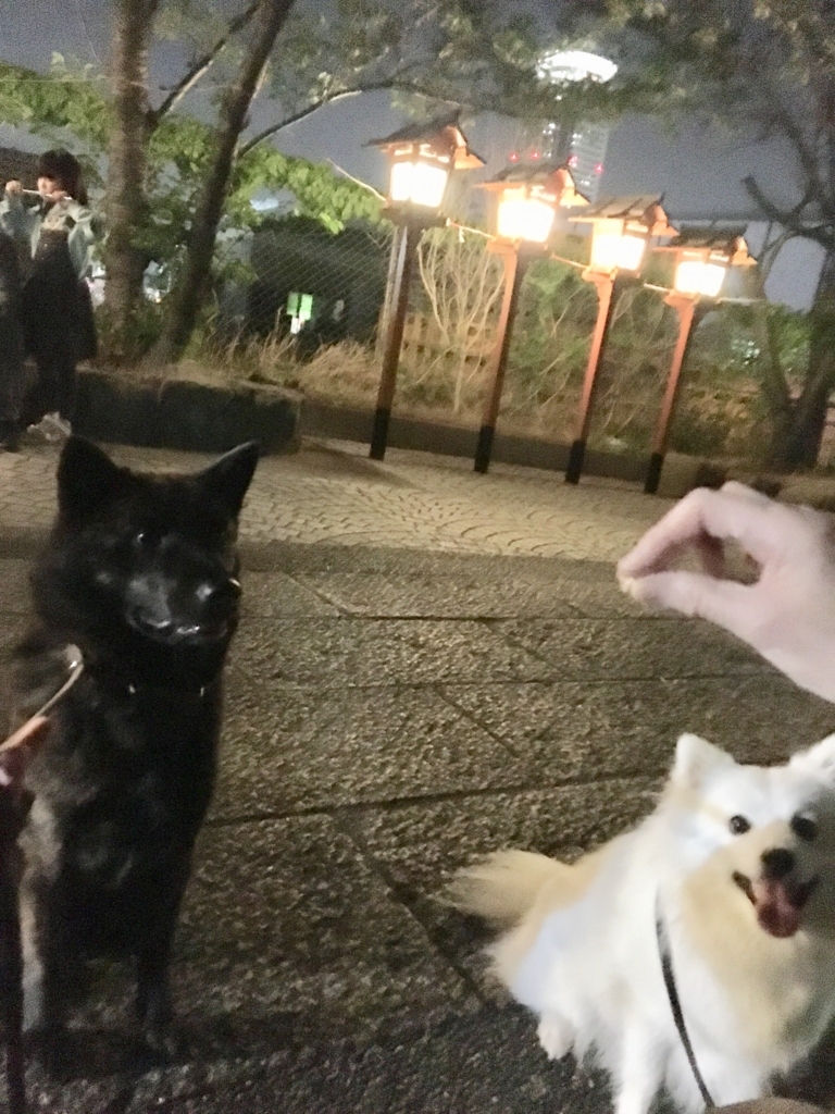 f:id:drunkard_kim:20180420075851j:plain