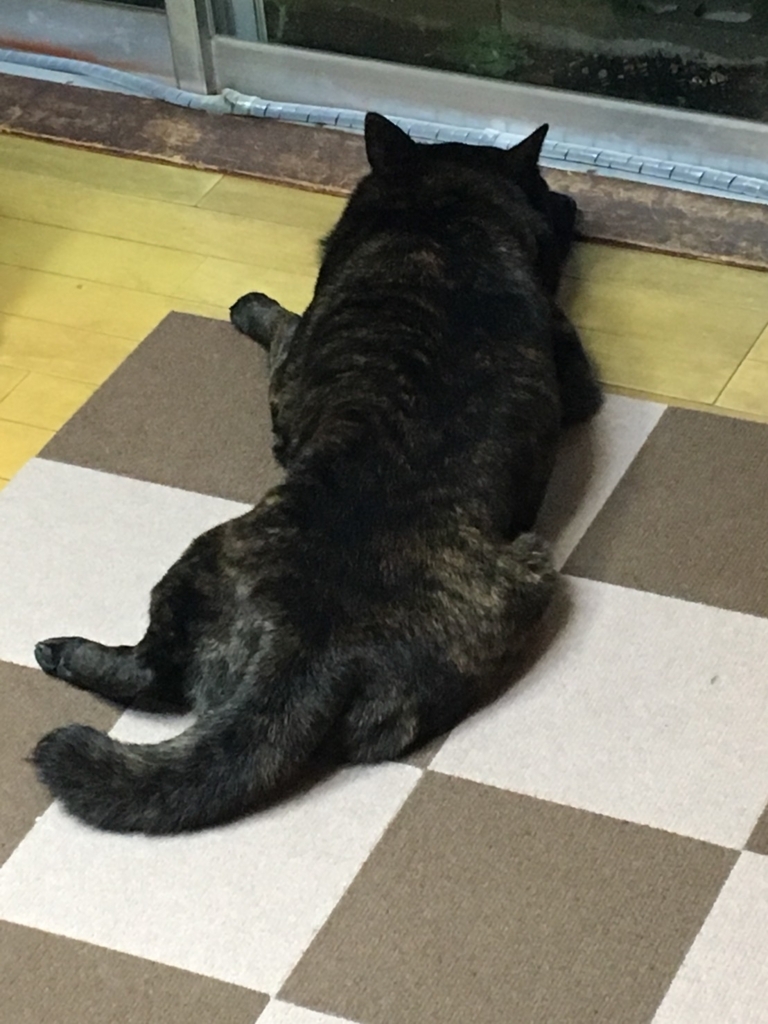 f:id:drunkard_kim:20180421080717j:plain