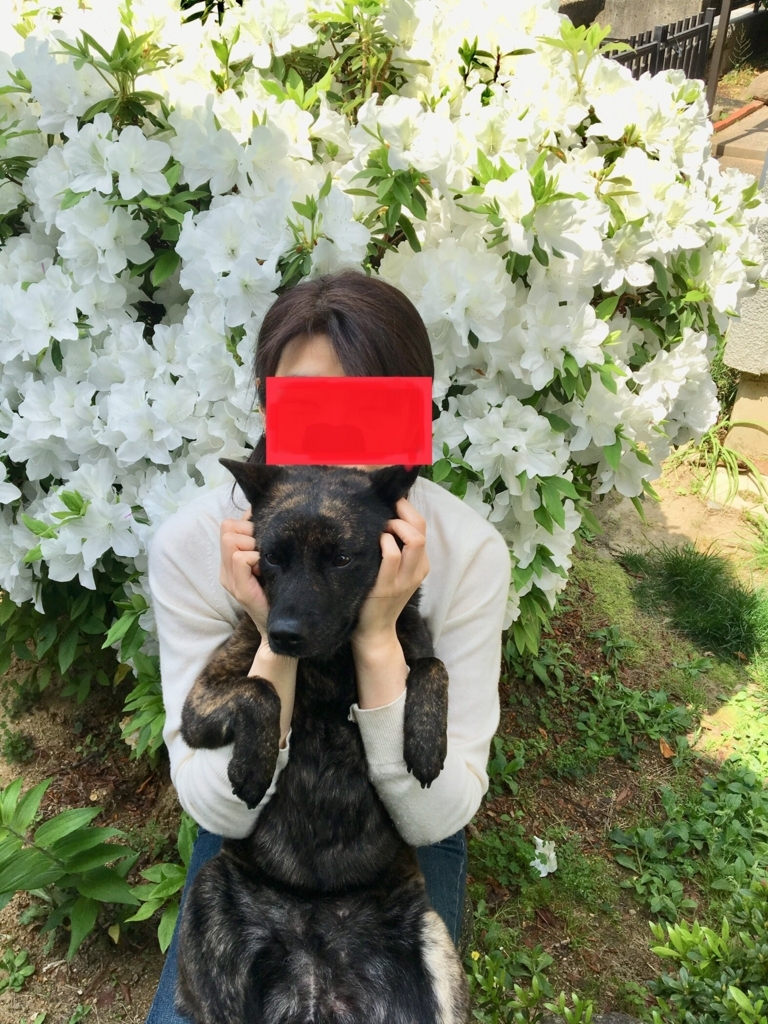 f:id:drunkard_kim:20180422114213j:plain