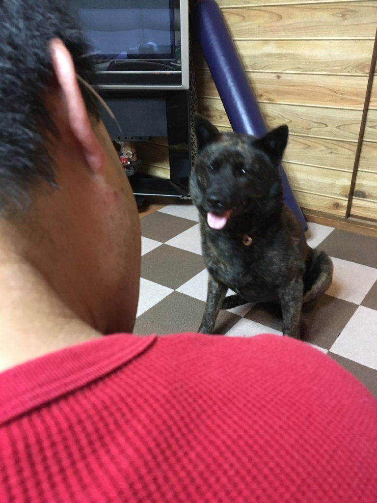f:id:drunkard_kim:20180424073602j:plain