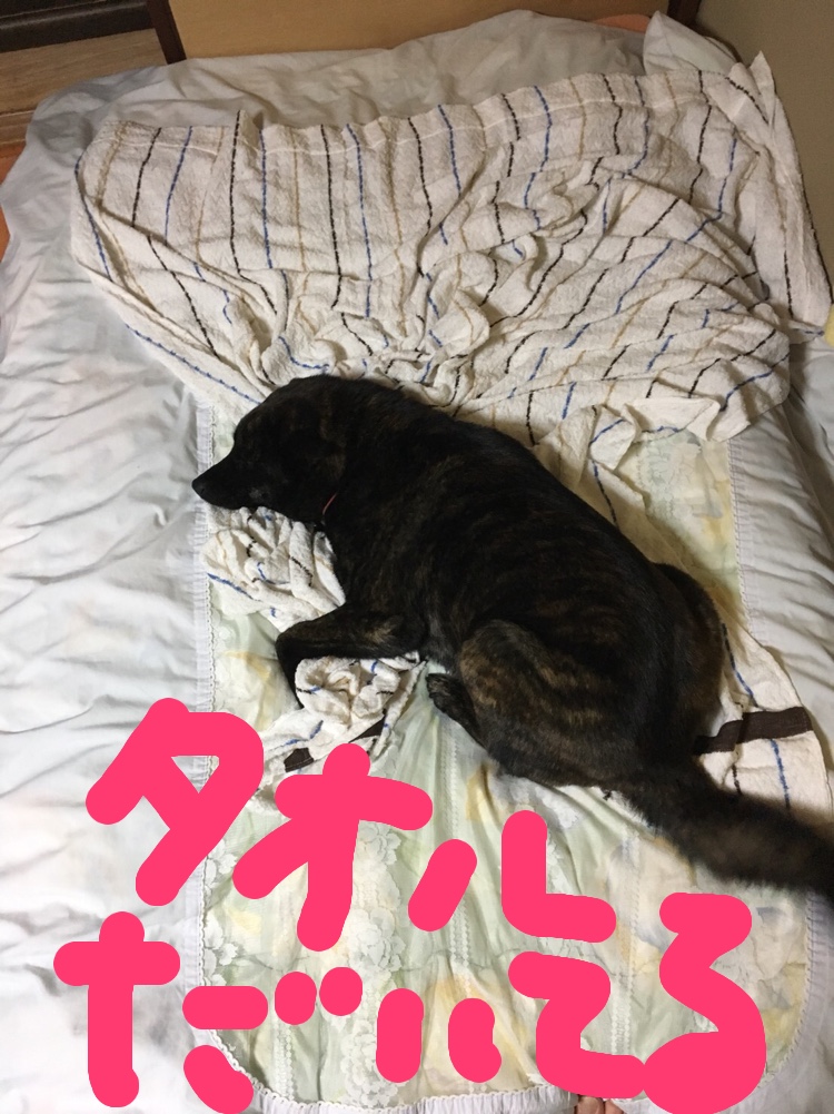 f:id:drunkard_kim:20180426080521j:plain