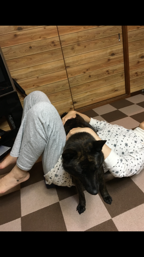 f:id:drunkard_kim:20180429080801p:plain