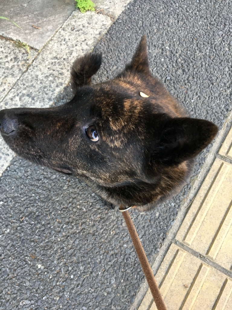 f:id:drunkard_kim:20180430122705j:plain