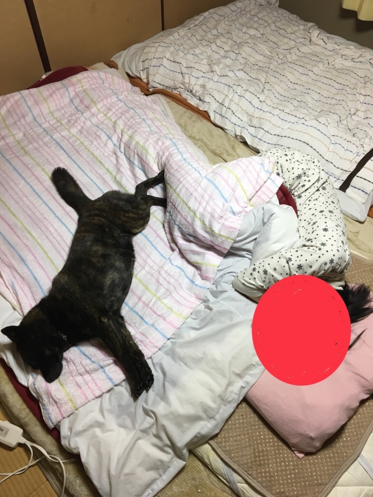 f:id:drunkard_kim:20180501073030j:plain