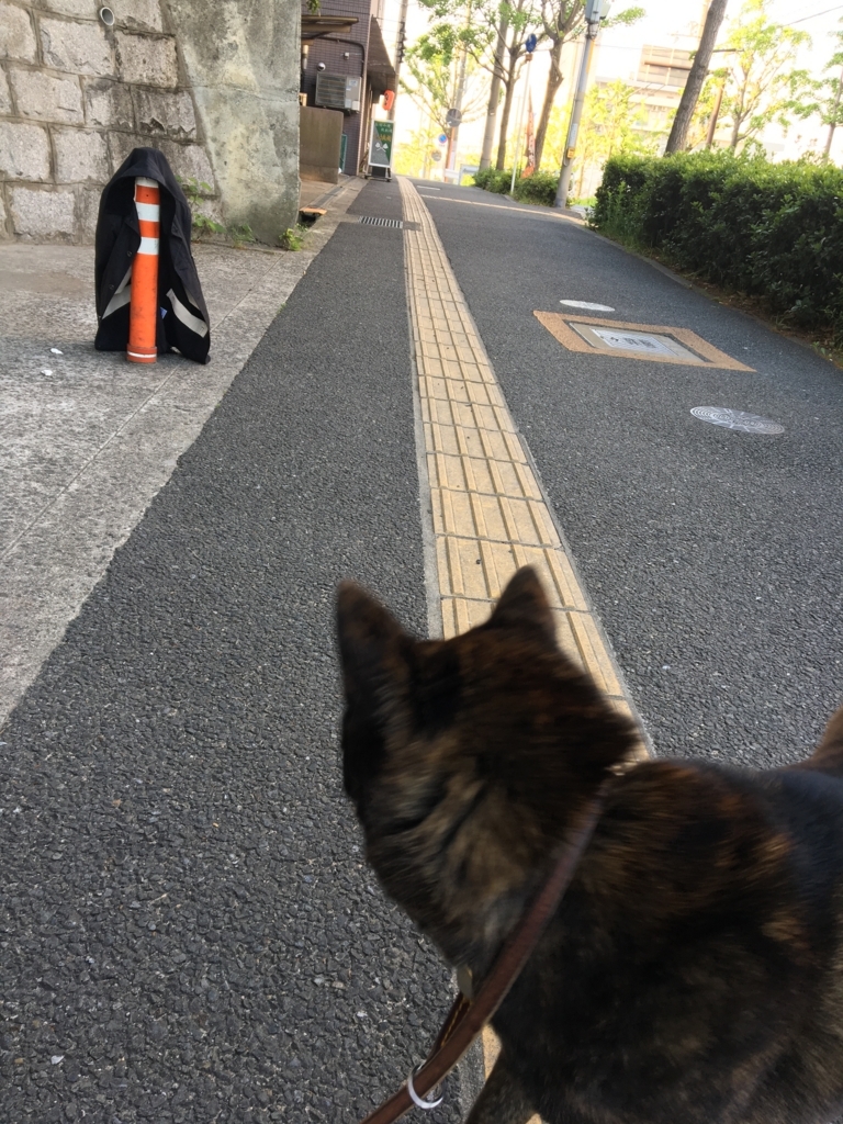f:id:drunkard_kim:20180507075528j:plain