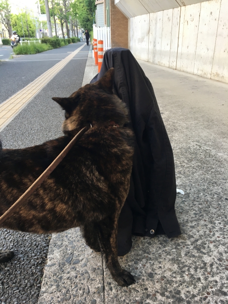 f:id:drunkard_kim:20180507080122j:plain
