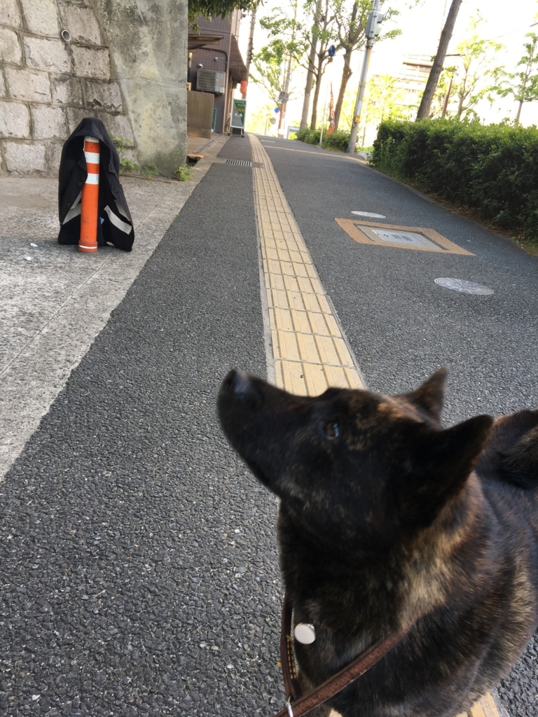 f:id:drunkard_kim:20180507080359j:plain