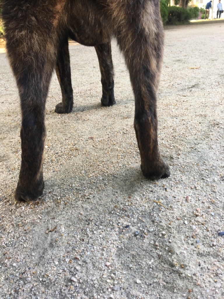 f:id:drunkard_kim:20180511075404j:plain