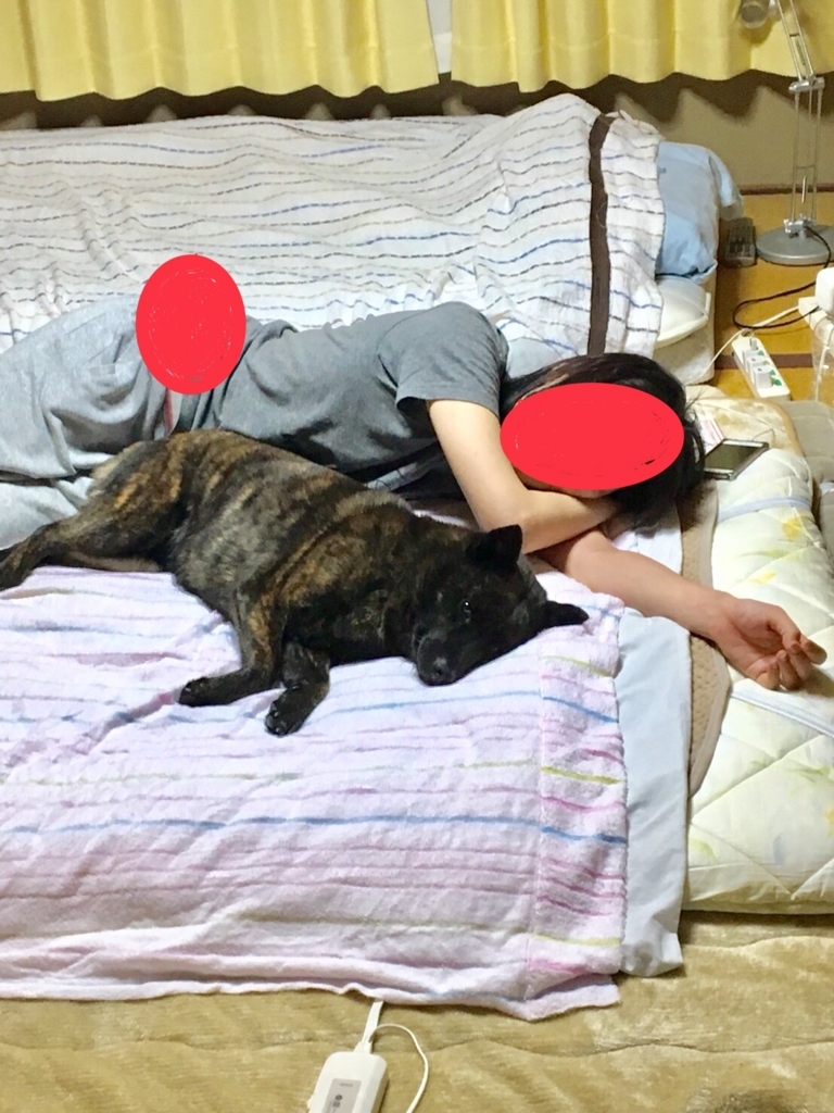 f:id:drunkard_kim:20180512080658j:plain