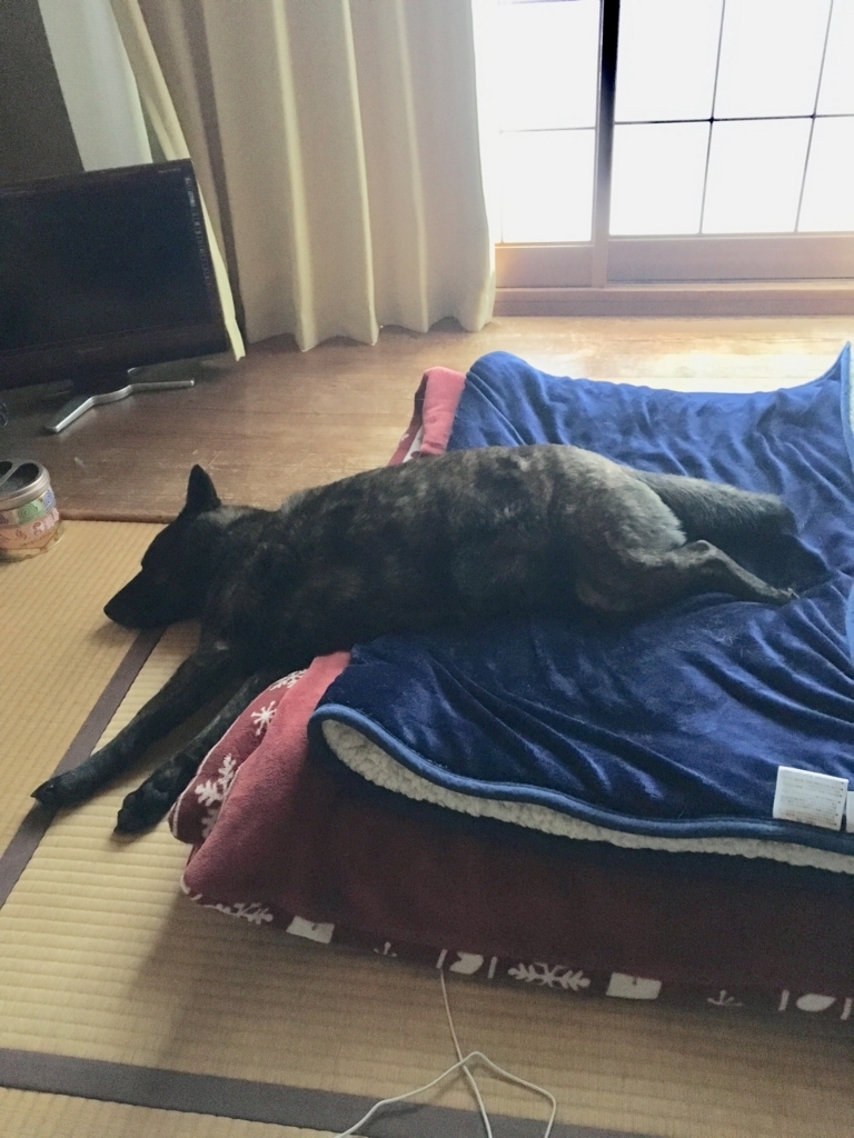 f:id:drunkard_kim:20180514080123j:plain