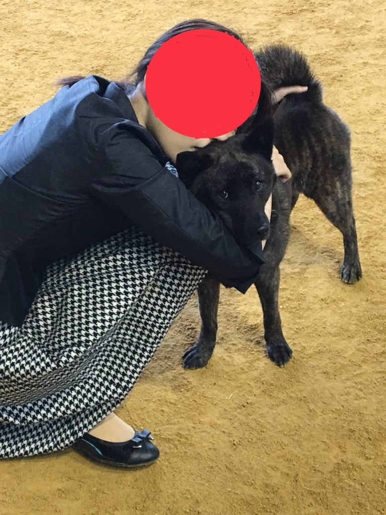 f:id:drunkard_kim:20180514080545j:plain