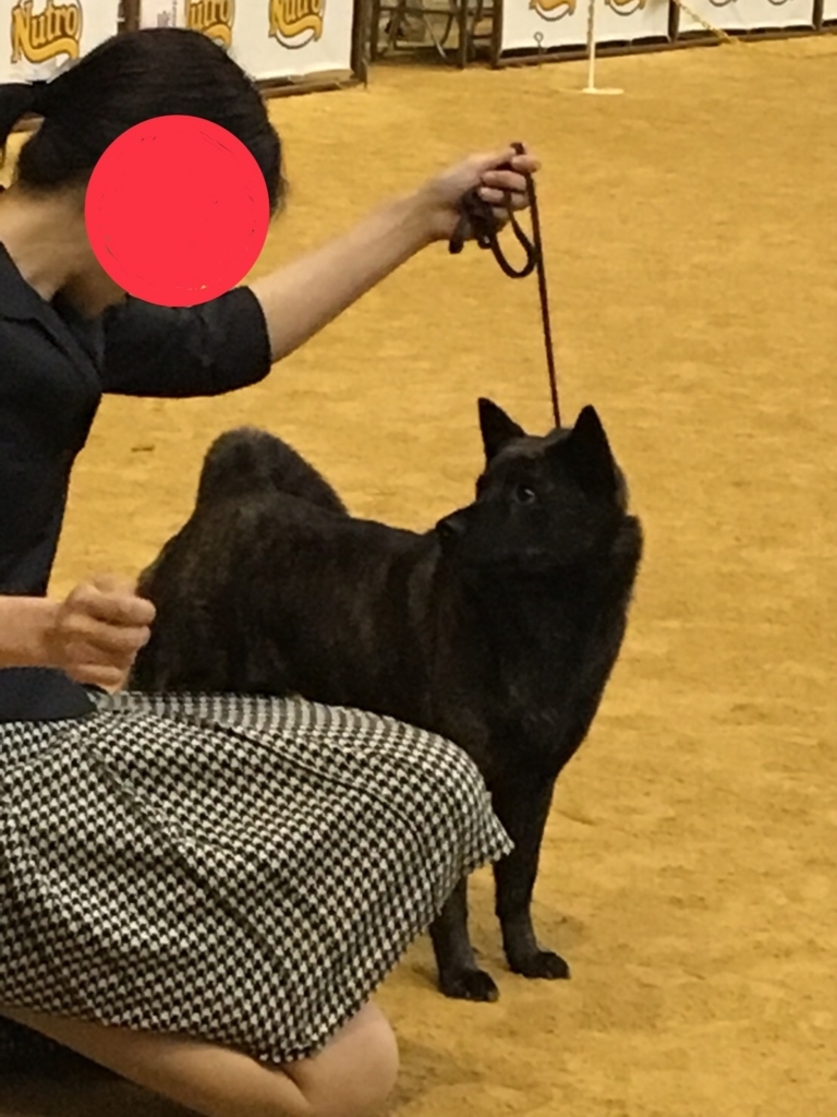 f:id:drunkard_kim:20180514080916j:plain