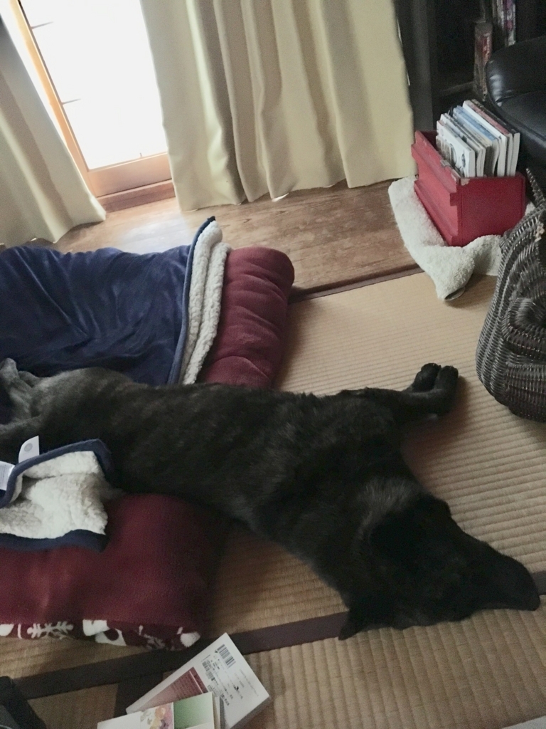 f:id:drunkard_kim:20180518080407j:plain