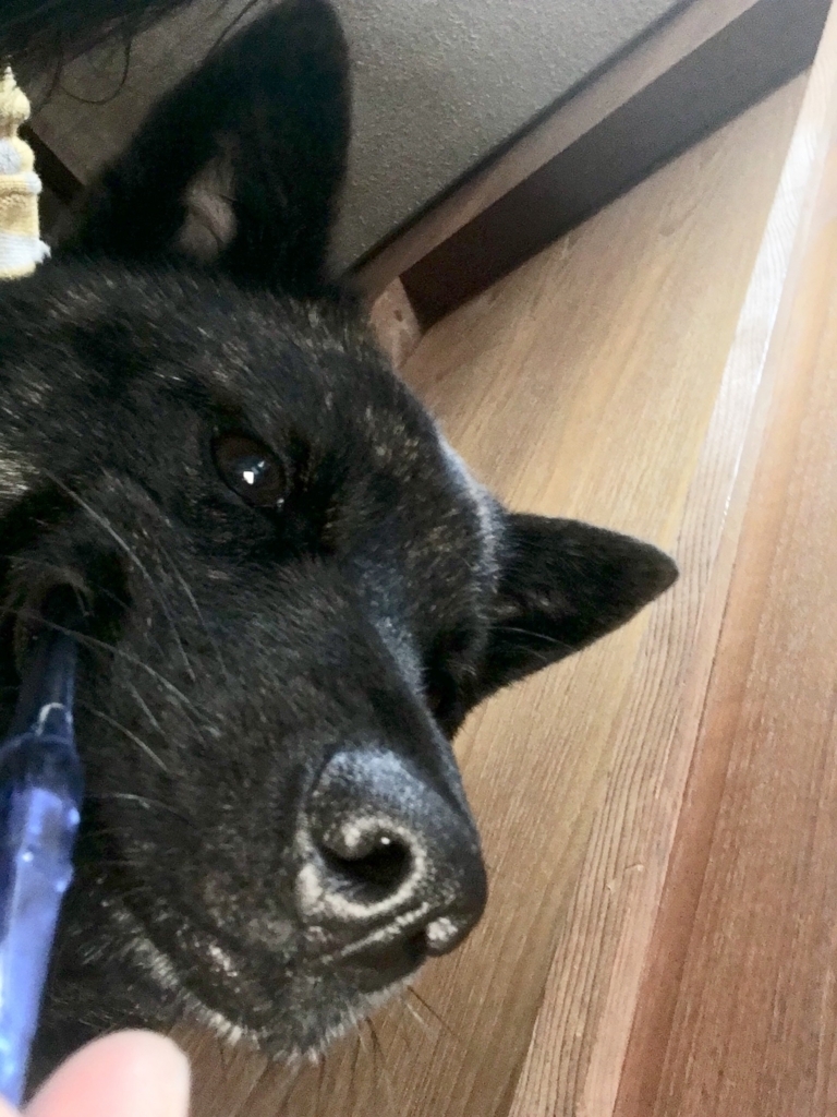 f:id:drunkard_kim:20180518080544j:plain