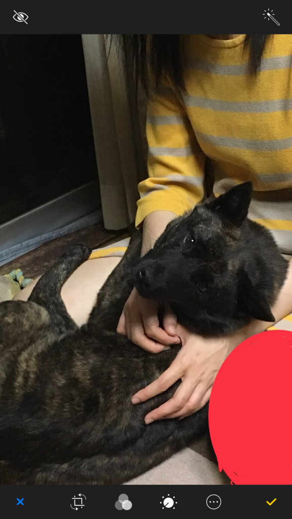 f:id:drunkard_kim:20180519082012p:plain