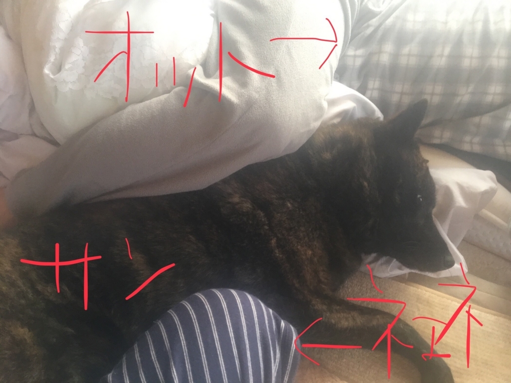 f:id:drunkard_kim:20180522111846j:plain