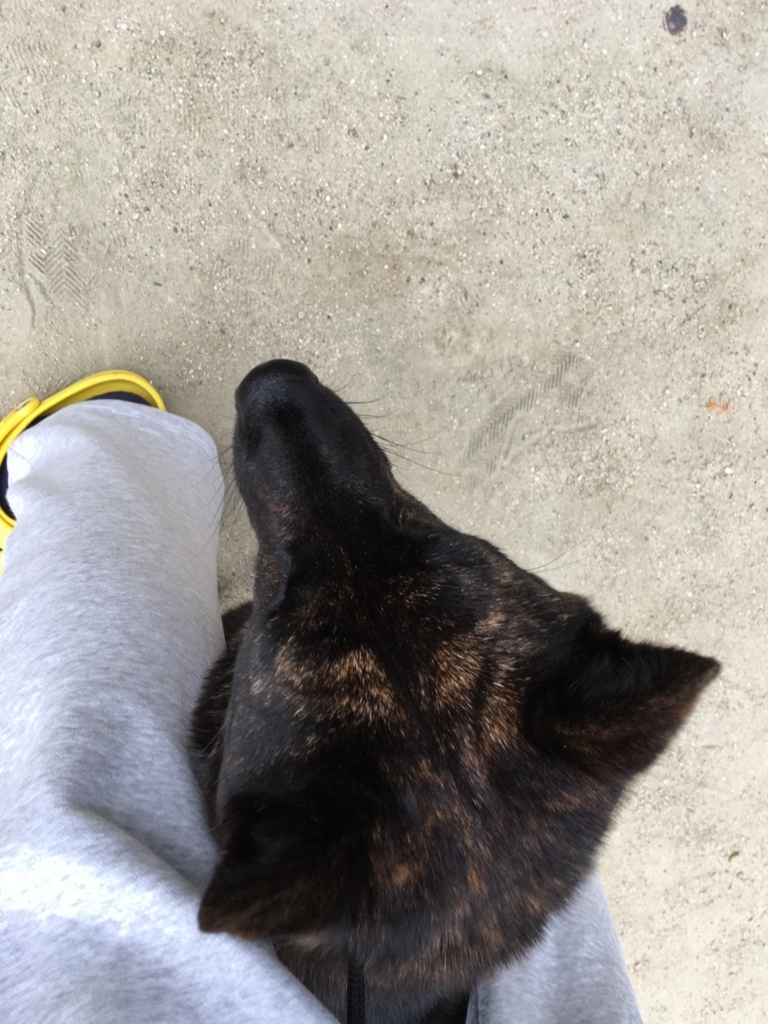 f:id:drunkard_kim:20180523075748j:plain