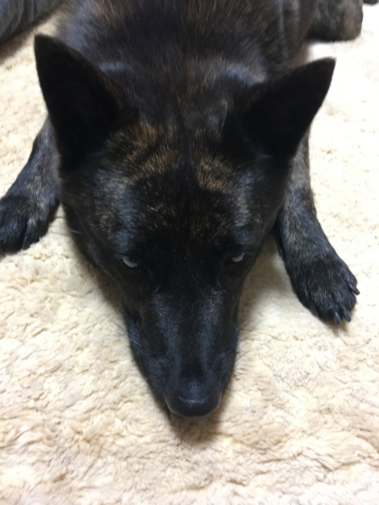 f:id:drunkard_kim:20180527182442j:plain