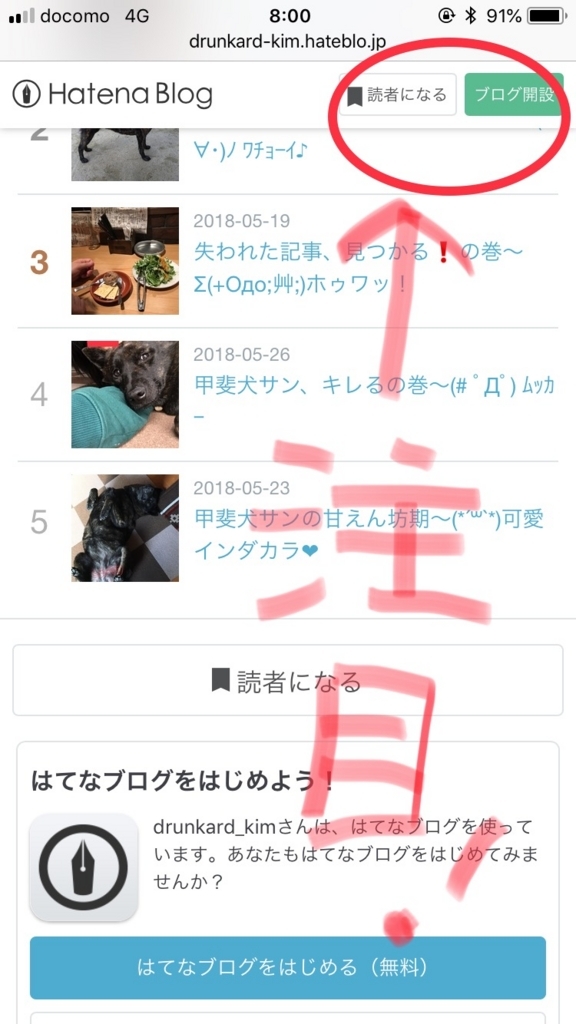 f:id:drunkard_kim:20180531232914j:plain