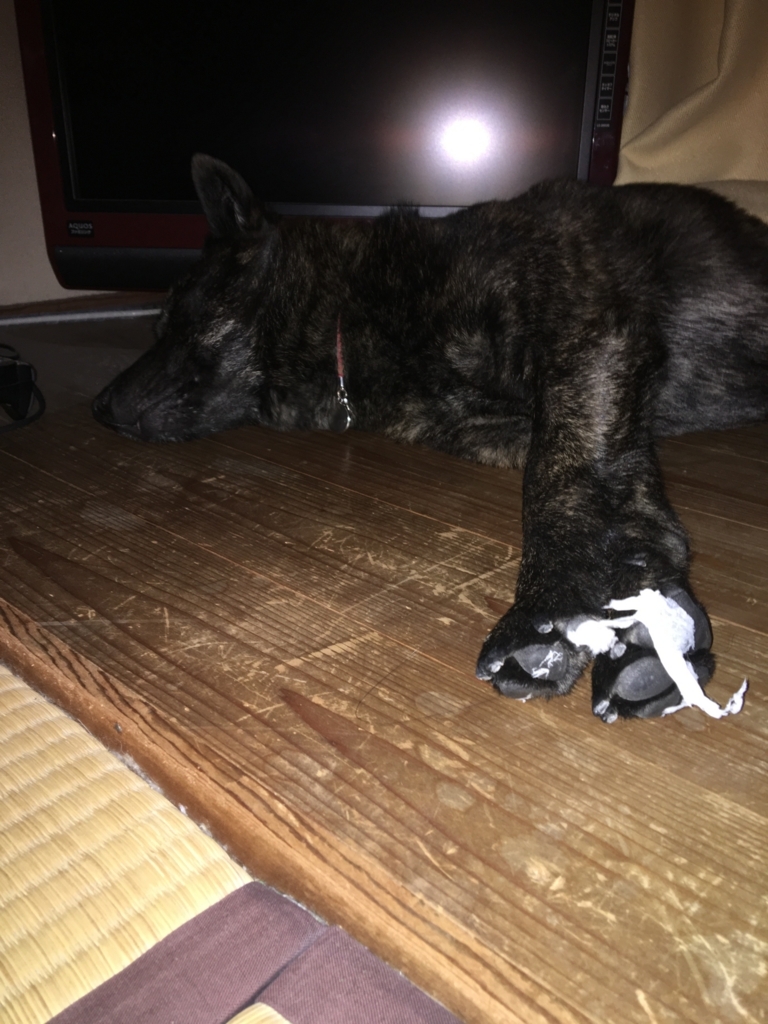 f:id:drunkard_kim:20180603105826j:plain