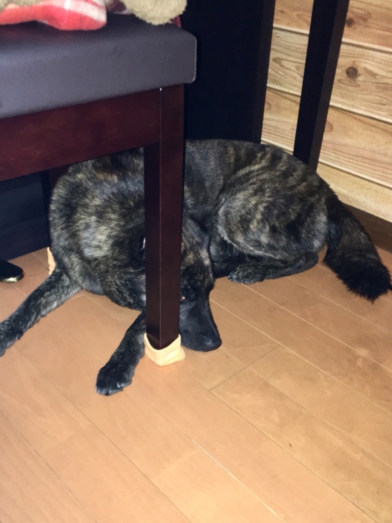f:id:drunkard_kim:20180604075523j:plain