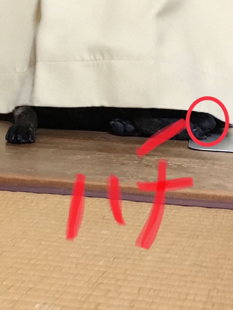 f:id:drunkard_kim:20180605095125j:plain