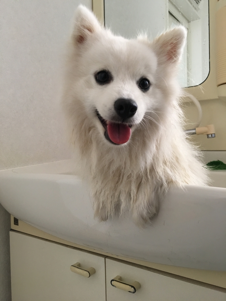 f:id:drunkard_kim:20180612134801j:plain