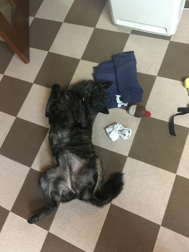 f:id:drunkard_kim:20180621080909j:plain