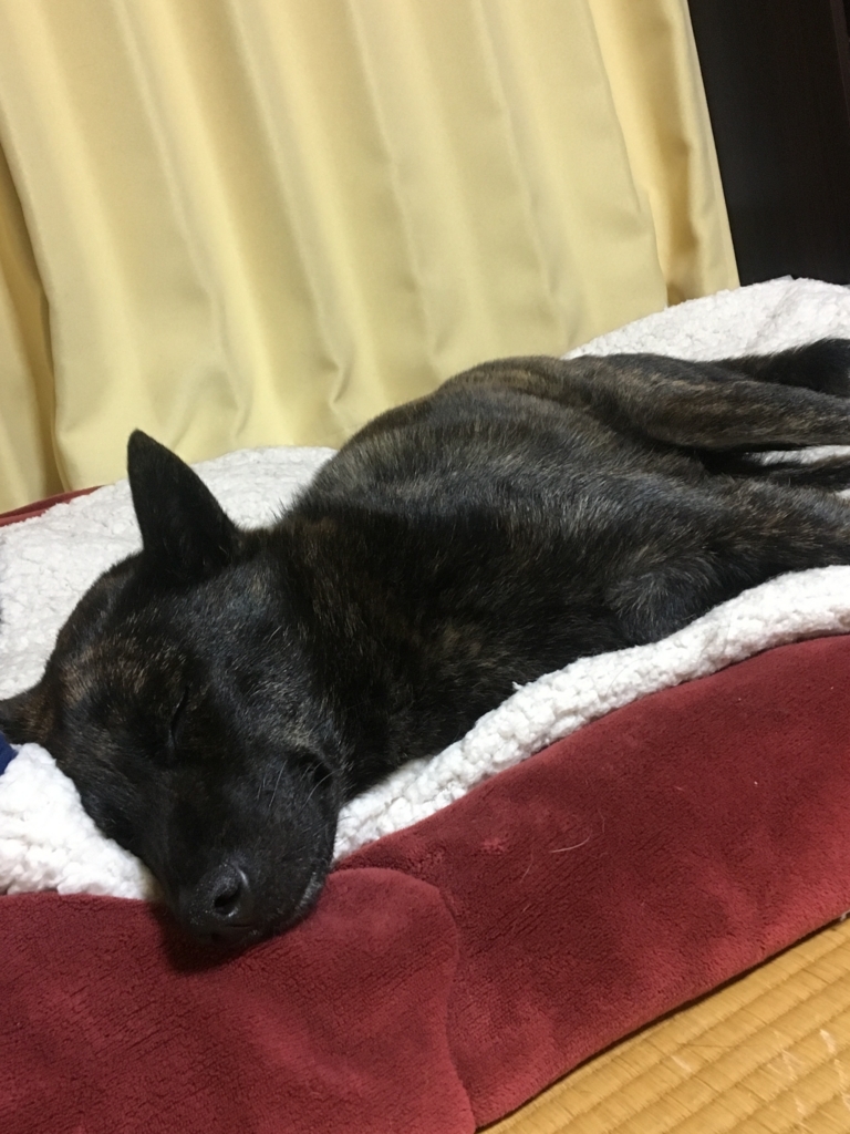 f:id:drunkard_kim:20180622080323j:plain