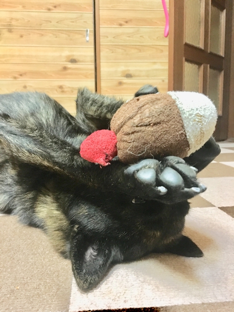 f:id:drunkard_kim:20180623081827j:plain
