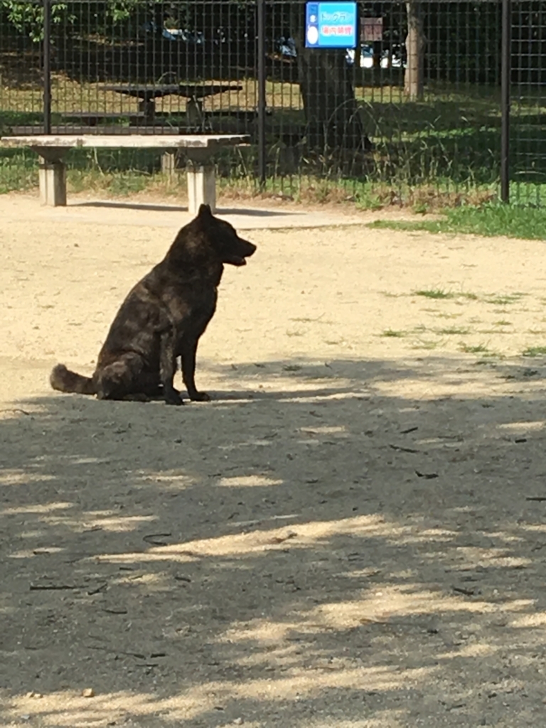 f:id:drunkard_kim:20180624175305j:plain