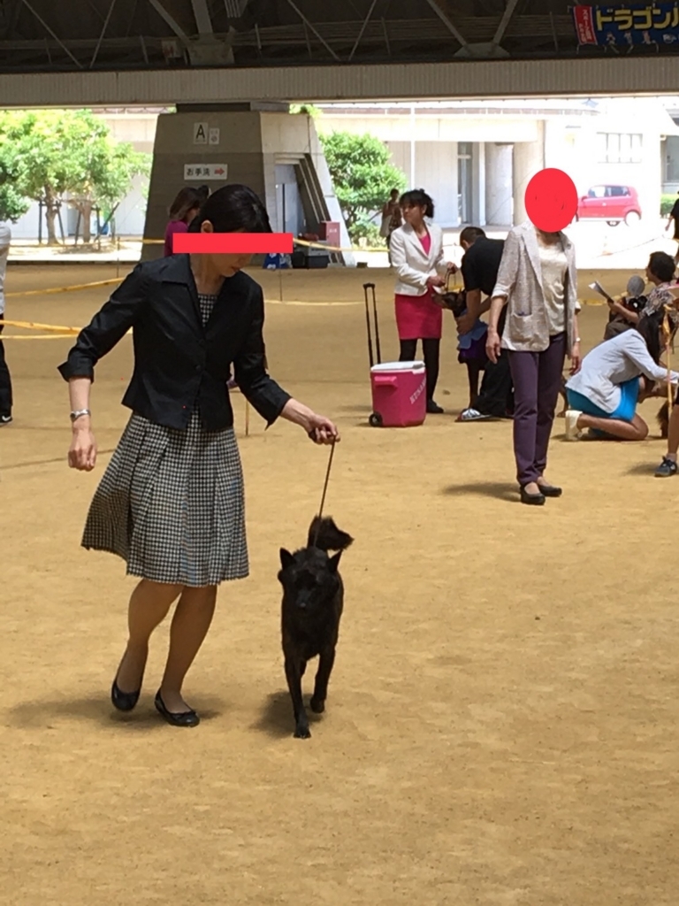f:id:drunkard_kim:20180701114120j:plain