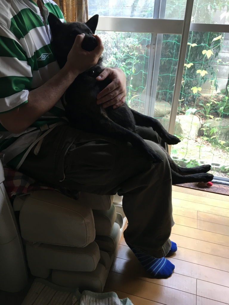 f:id:drunkard_kim:20180705080348j:plain